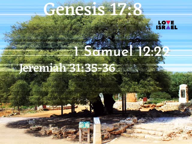 Instagram post image