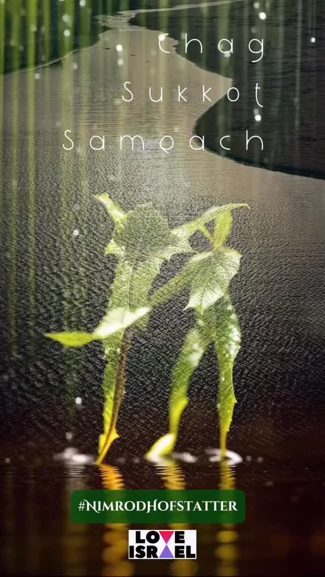 Instagram post image