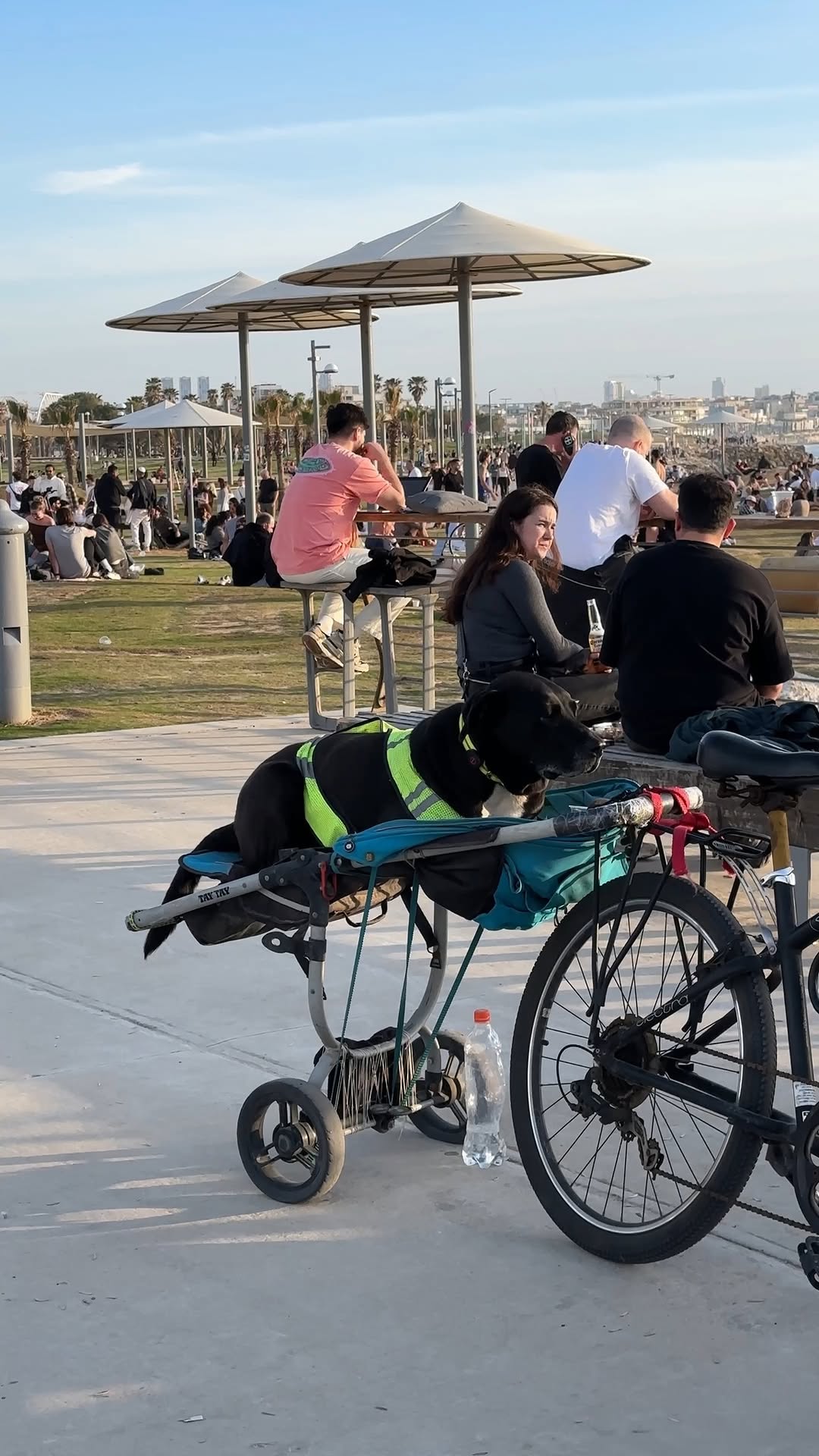 Instagram post image